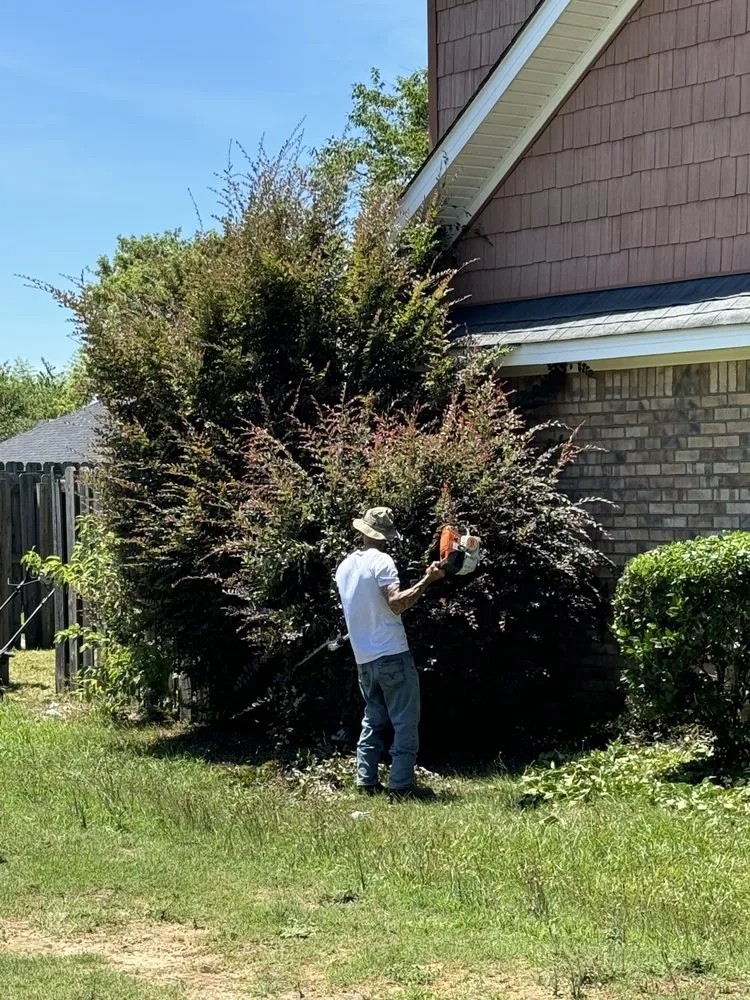 Custom lawn care service in Augusta, GA - Trimmendous Lawn Care