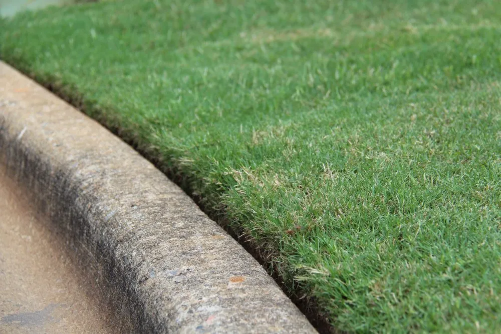 Top-rated landscape design with custom design in Augusta, GA by Trimmendous Lawn Care