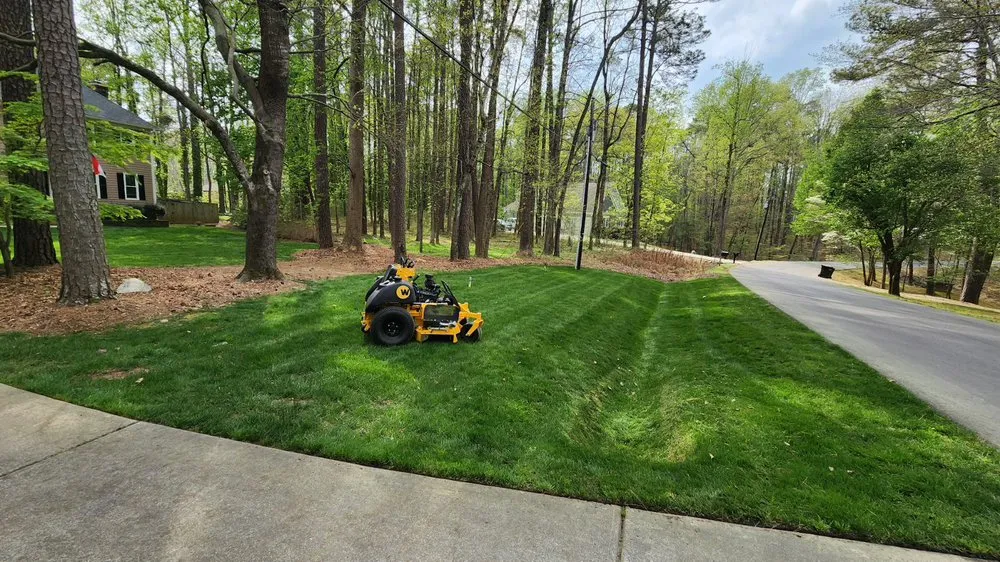 Expert yard maintenance experts serving Durham, NC - Trimmer’s Landscaping