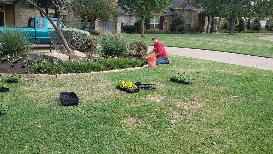 Professional residential landscaping experts serving Waco, TX - Trimmers Lawn Service
