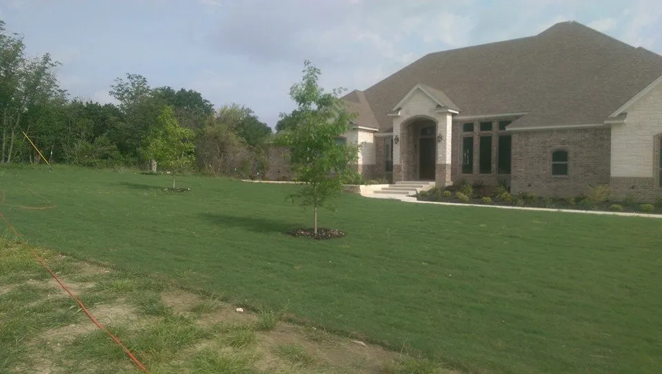 Professional lawn mowing service in Waco, TX - Trimmers Lawn Service