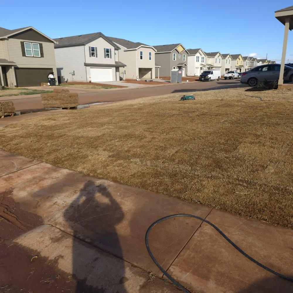 Reliable yard cleanup service in Abilene, TX - Trimmers Professional Landscaping