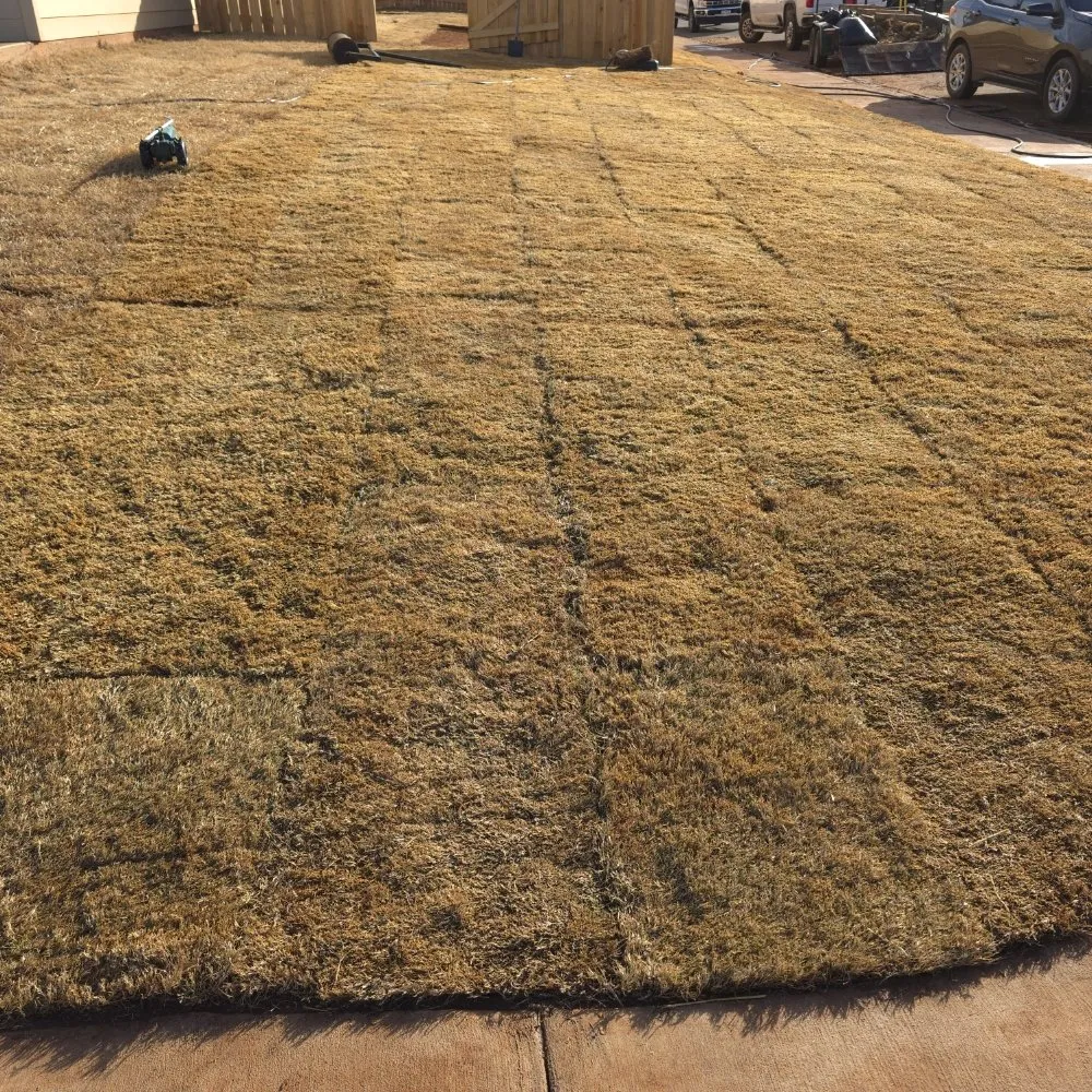 Affordable landscape installation experts serving Abilene, TX - Trimmers Professional Landscaping