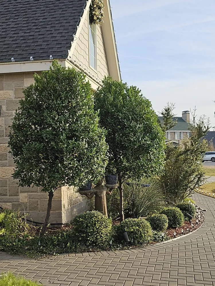 Top-rated lawn care service for homes across Abilene, TX - Trimmers Professional Landscaping