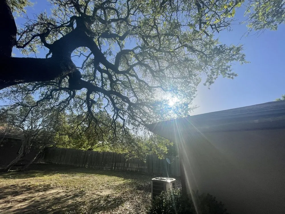 Custom garden landscaping for year-round maintenance across San Marcos, TX - Trimmier