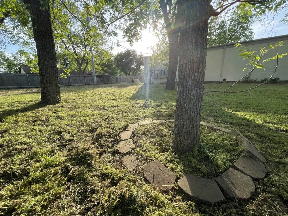 Expert yard maintenance for outdoor upgrades across San Marcos, TX - Trimmier