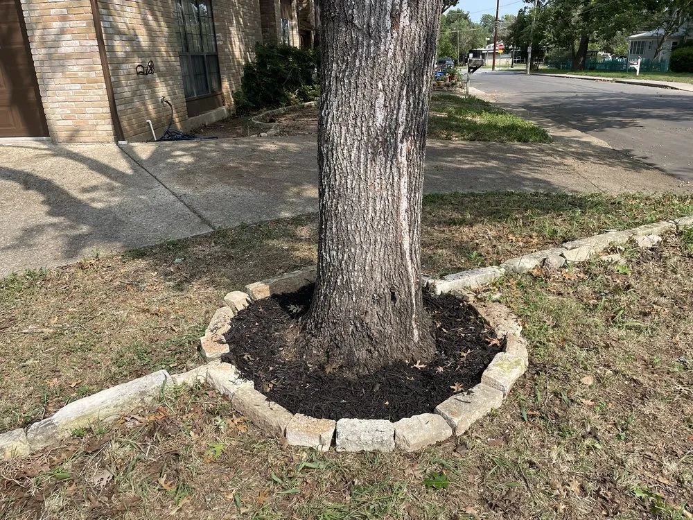 Top-rated yard maintenance in San Marcos, TX by Trimmier