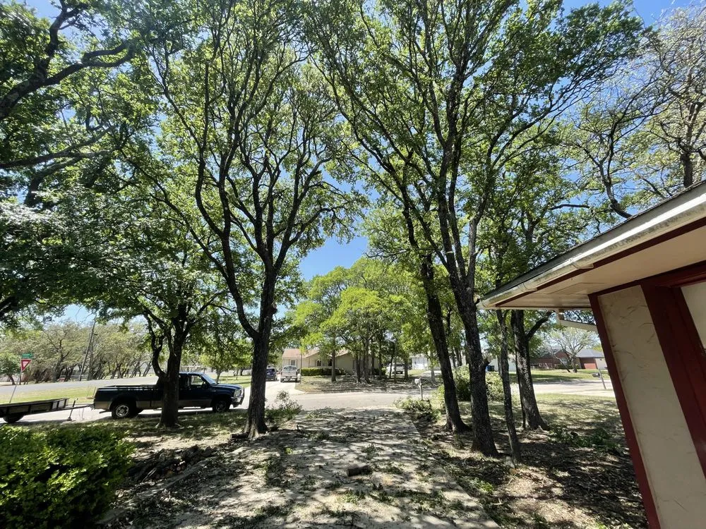 Trusted outdoor landscaping in San Marcos, TX - Trimmier