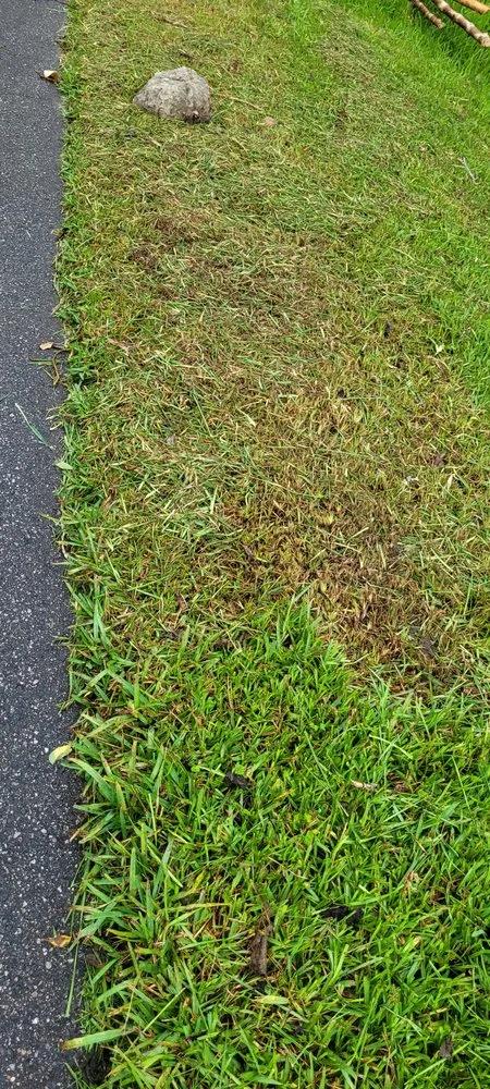 Reliable yard maintenance experts serving Quincy, FL - Trimming 2 Perfection