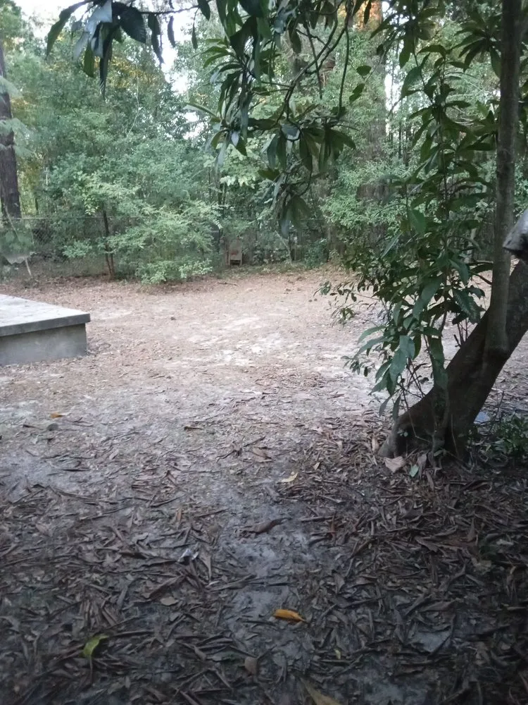 Reliable outdoor landscaping for homes across Quincy, FL - Trimming 2 Perfection