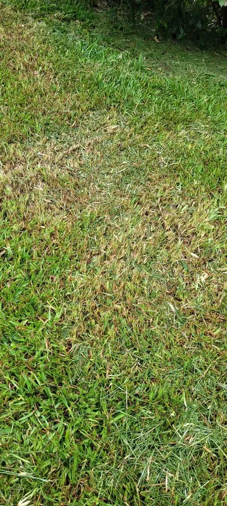 Trusted landscape design for beautiful yards across Quincy, FL - Trimming 2 Perfection