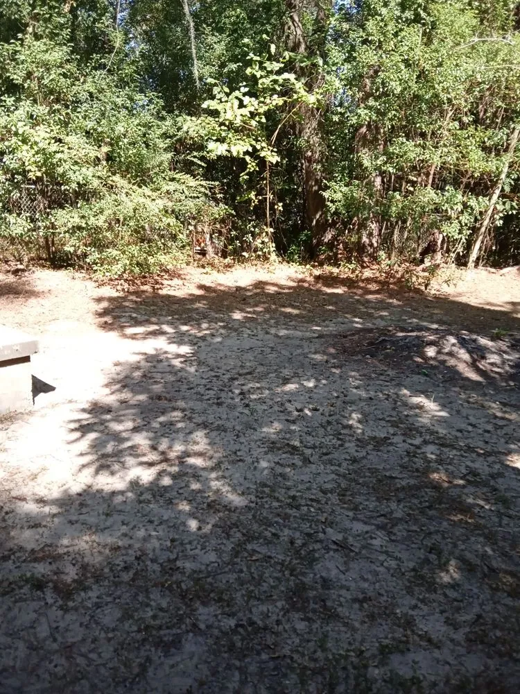 Custom residential landscaping in Quincy, FL by Trimming 2 Perfection