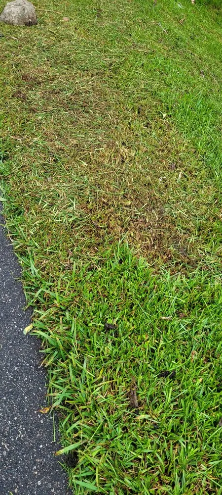 Top-rated landscape design for beautiful yards in Quincy, FL by Trimming 2 Perfection