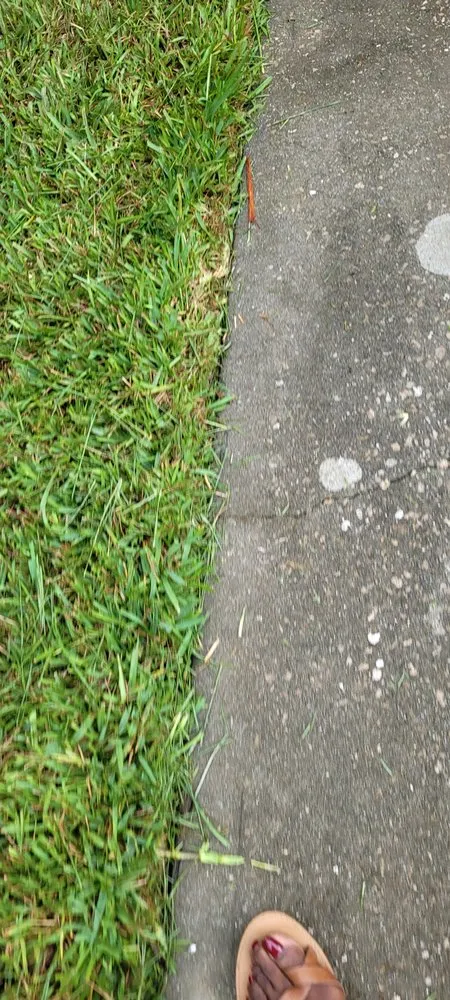 Reliable residential landscaping in Quincy, FL by Trimming 2 Perfection