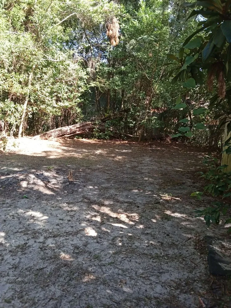 Professional outdoor landscaping for year-round maintenance in Quincy, FL by Trimming 2 Perfection