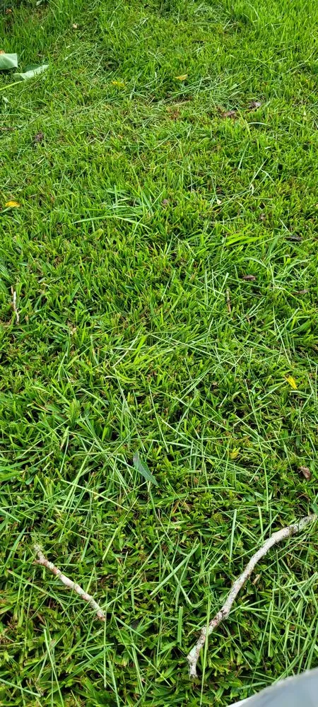 Professional landscape design for outdoor upgrades in Quincy, FL by Trimming 2 Perfection