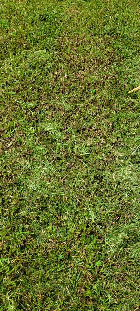 Top-rated garden landscaping experts serving Quincy, FL - Trimming 2 Perfection