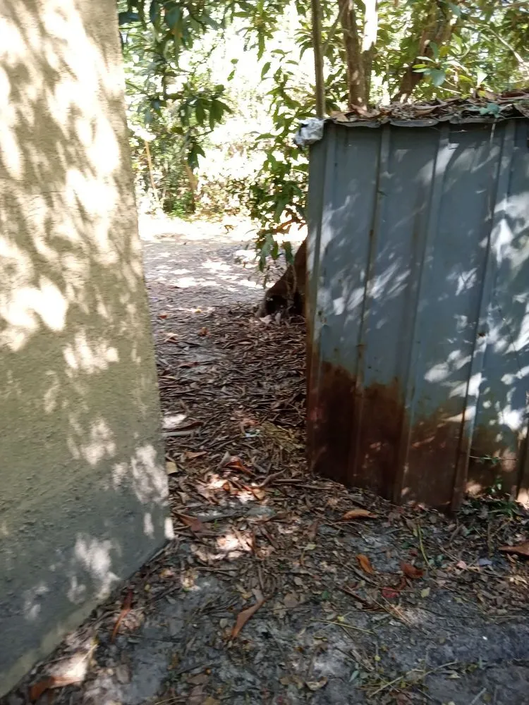 Expert residential landscaping in Quincy, FL - Trimming 2 Perfection