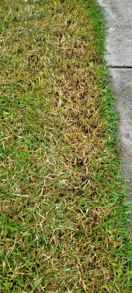 Trusted garden landscaping for homes across Quincy, FL - Trimming 2 Perfection