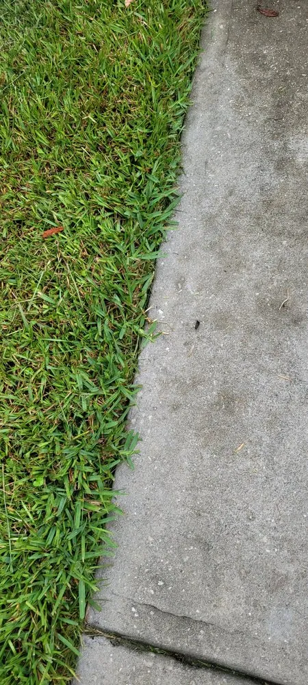 Custom garden landscaping in Quincy, FL by Trimming 2 Perfection