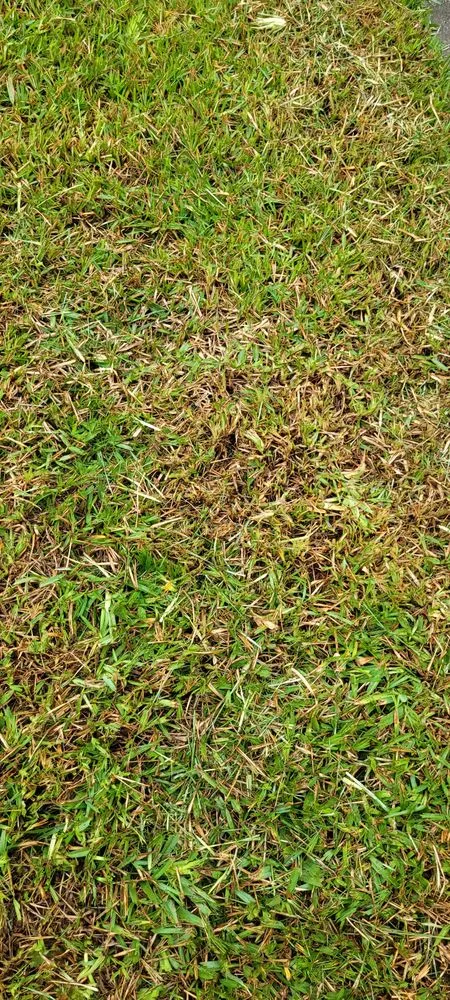 Affordable outdoor landscaping in Quincy, FL - Trimming 2 Perfection