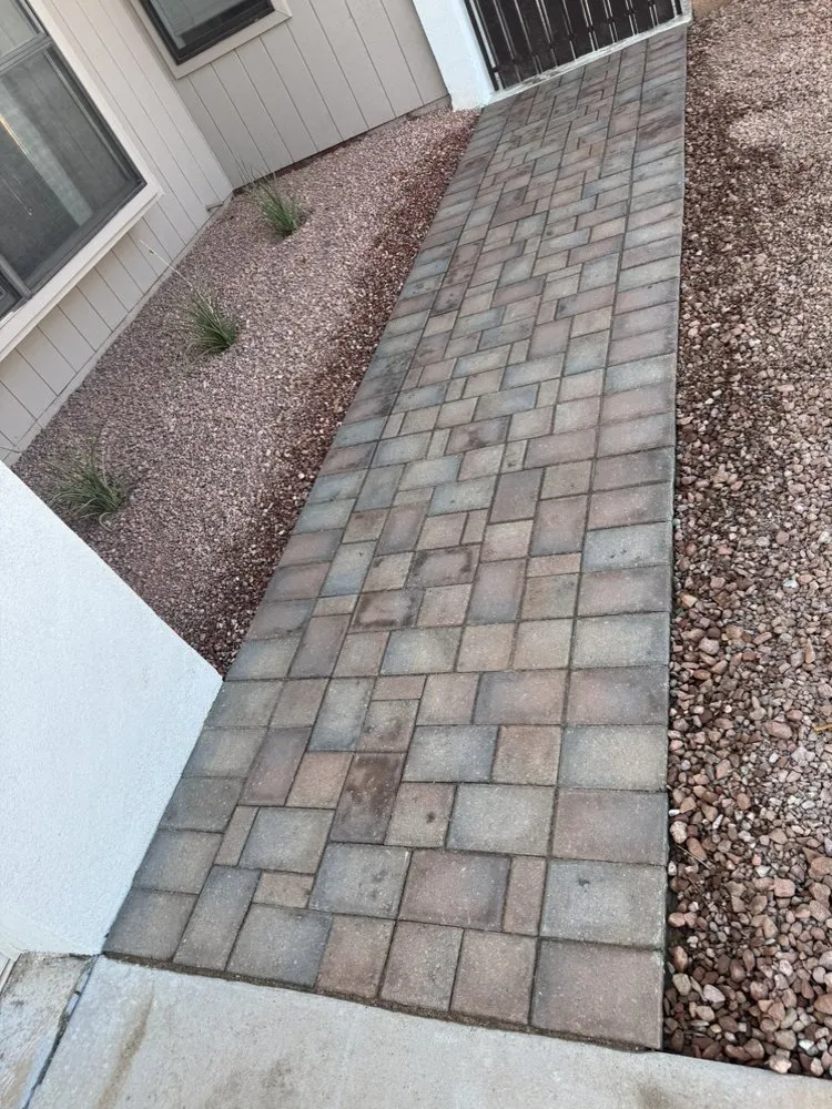 Professional residential landscaping experts serving Scottsdale, AZ - Trimming Arizona