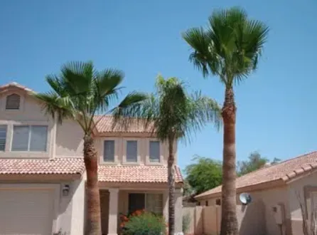 Professional lawn care service in Scottsdale, AZ - Trimming Arizona