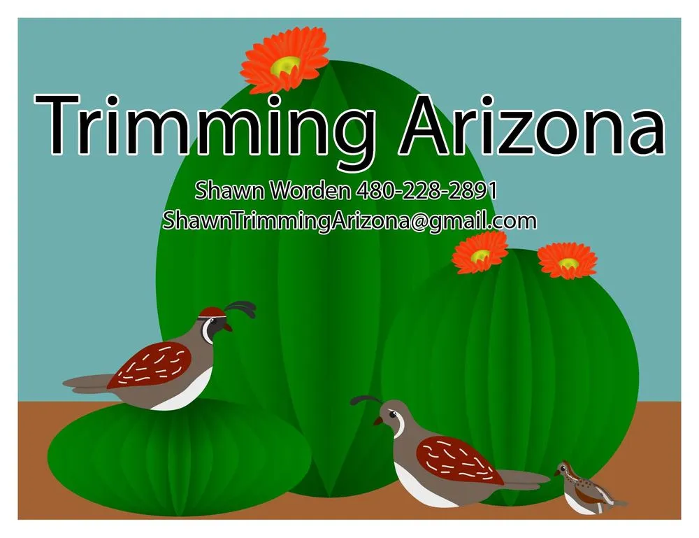 Custom landscaping services with custom design across Scottsdale, AZ - Trimming Arizona