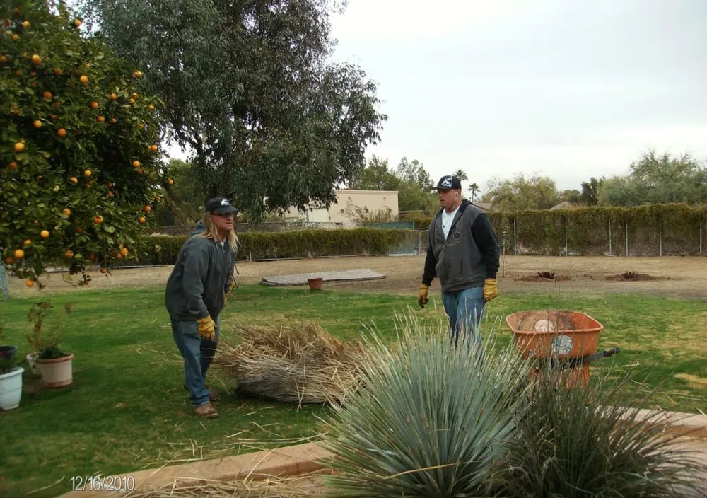 Reliable yard maintenance for homes across Scottsdale, AZ - Trimming Arizona