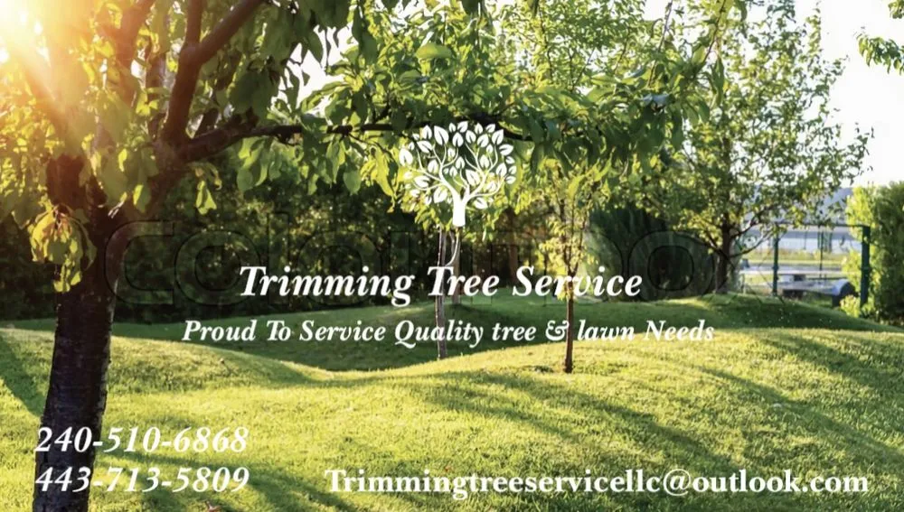 Custom lawn care service in Glen Burnie, MD by Trimming Tree Service