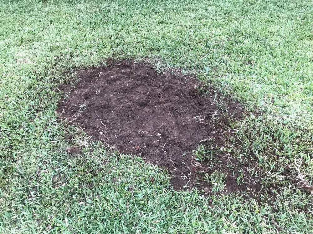 Trusted landscape design in Homestead, FL - Trimscape