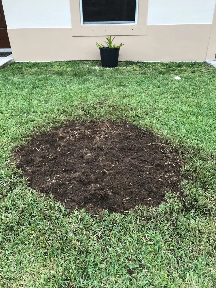 Custom yard maintenance with custom design in Homestead, FL by Trimscape