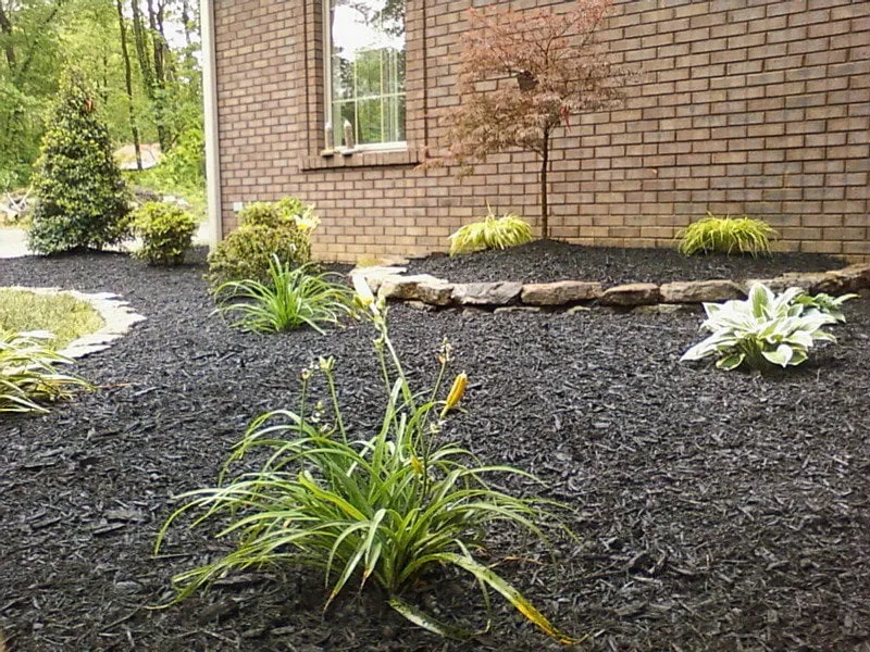 Expert residential landscaping in Newburgh, IN - Trimworks Lawn & Landscape