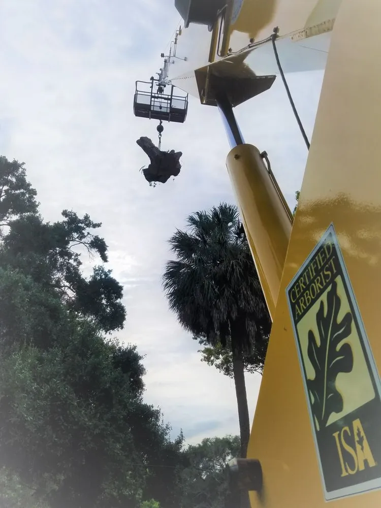 Affordable landscape installation in Largo, FL - Trimworks Tree Service