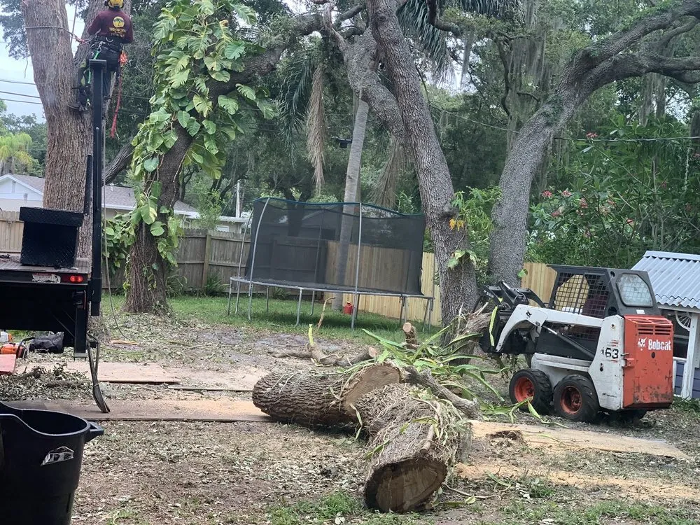 Affordable landscape installation in Largo, FL by Trimworks Tree Service