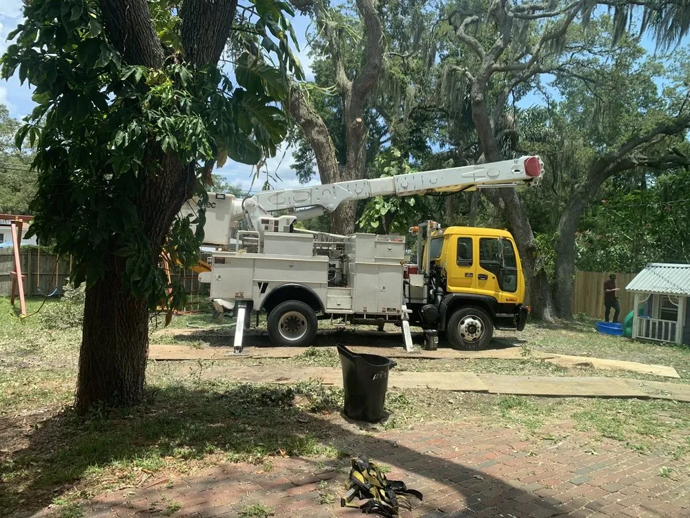 Trusted yard cleanup service in Largo, FL - Trimworks Tree Service