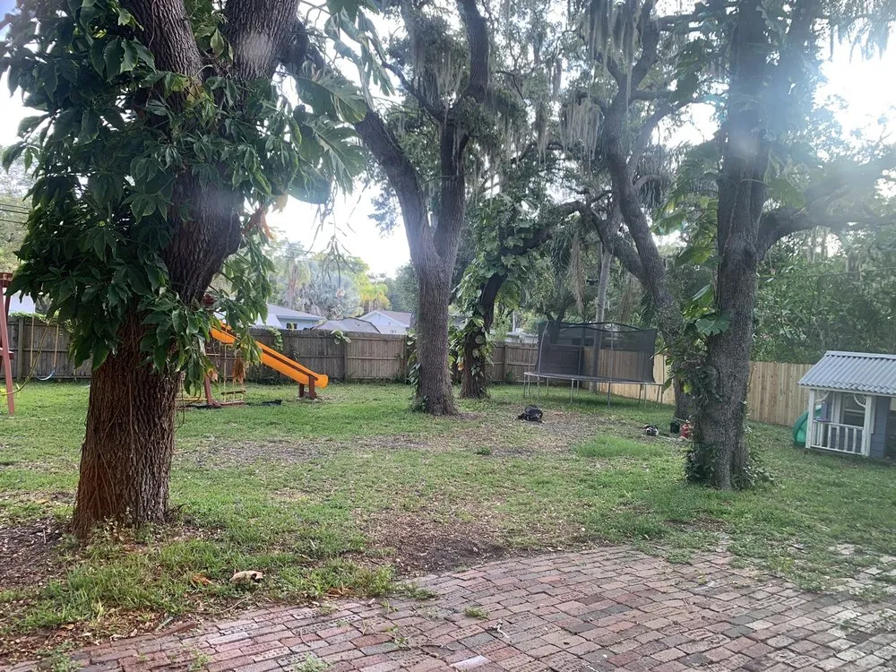 Expert landscaping services in Largo, FL by Trimworks Tree Service