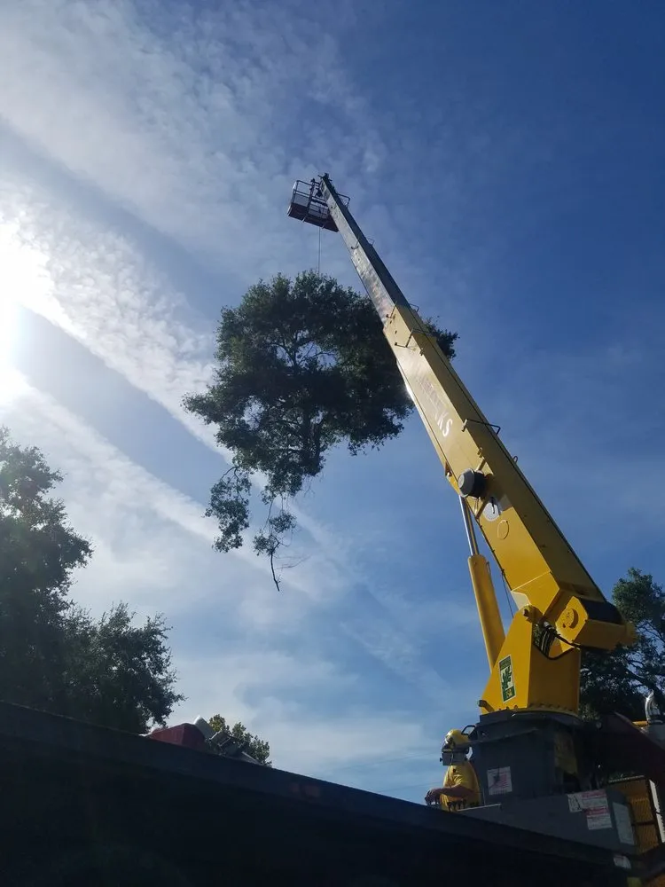 Trusted garden landscaping for beautiful yards across Largo, FL - Trimworks Tree Service