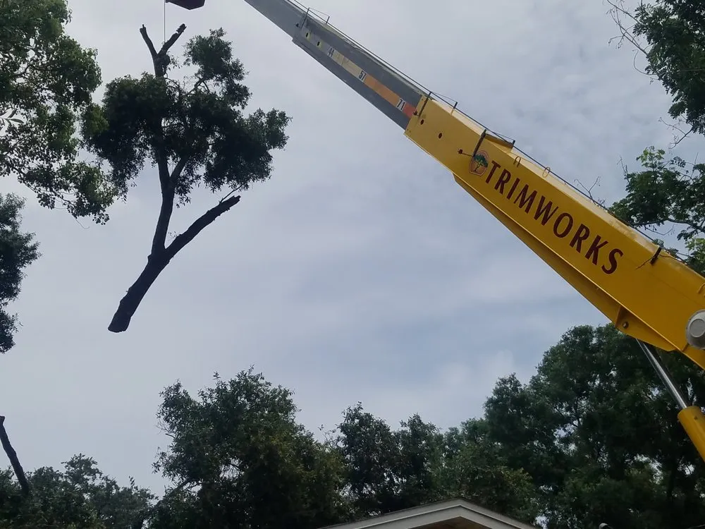 Custom landscaping services in Largo, FL by Trimworks Tree Service