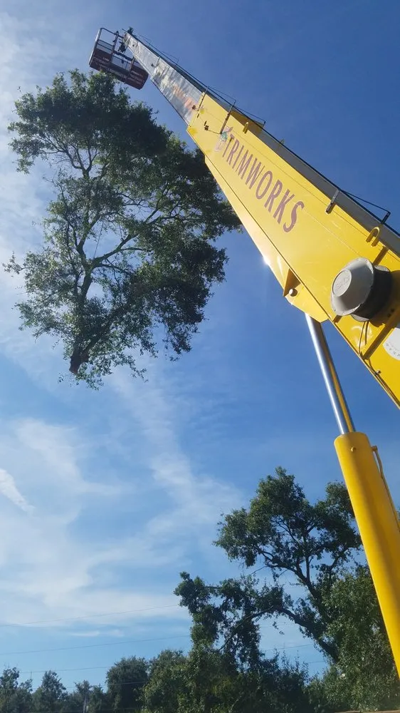 Affordable landscaping services for year-round maintenance across Largo, FL - Trimworks Tree Service