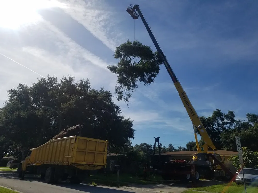 Expert landscaping services in Largo, FL - Trimworks Tree Service