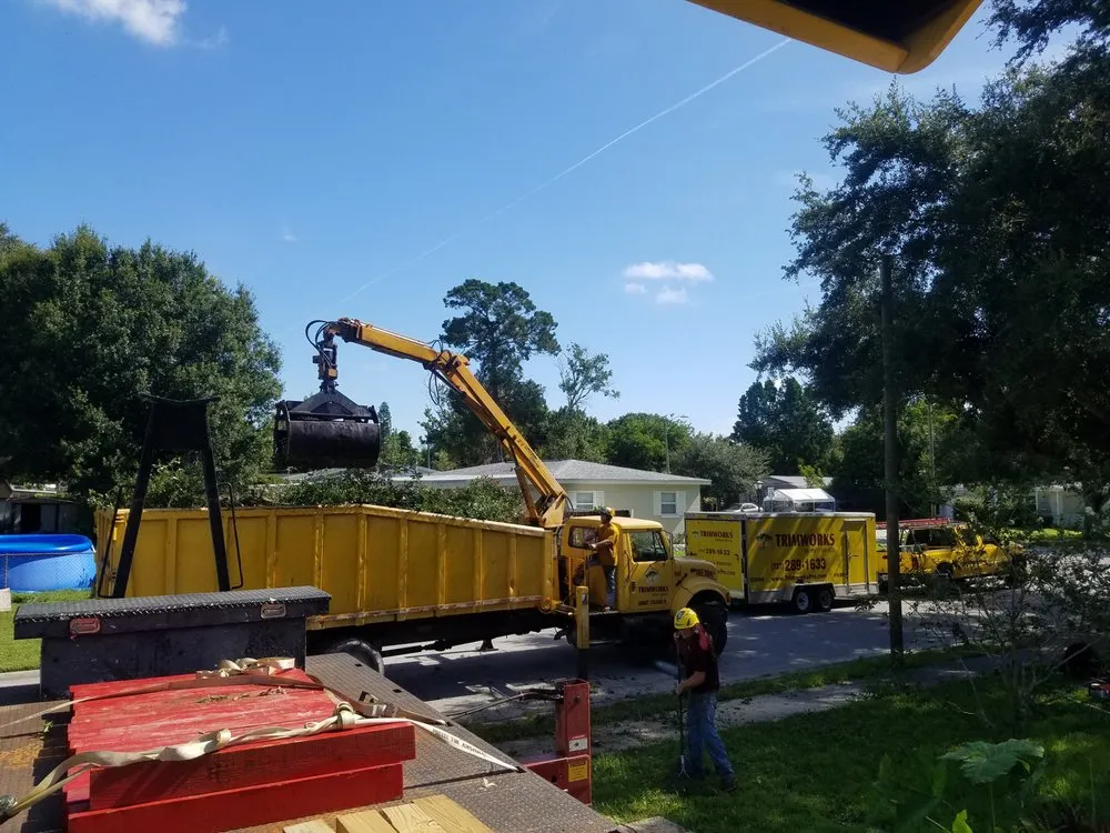 Affordable landscaping services experts serving Largo, FL - Trimworks Tree Service