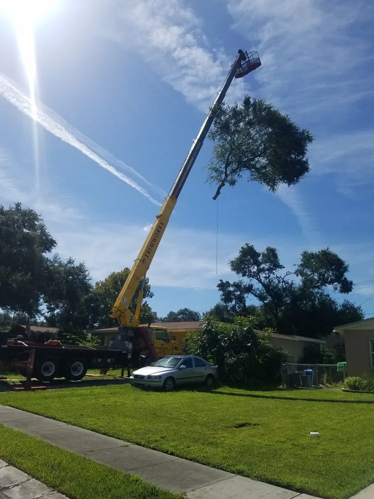 Custom yard cleanup service in Largo, FL by Trimworks Tree Service