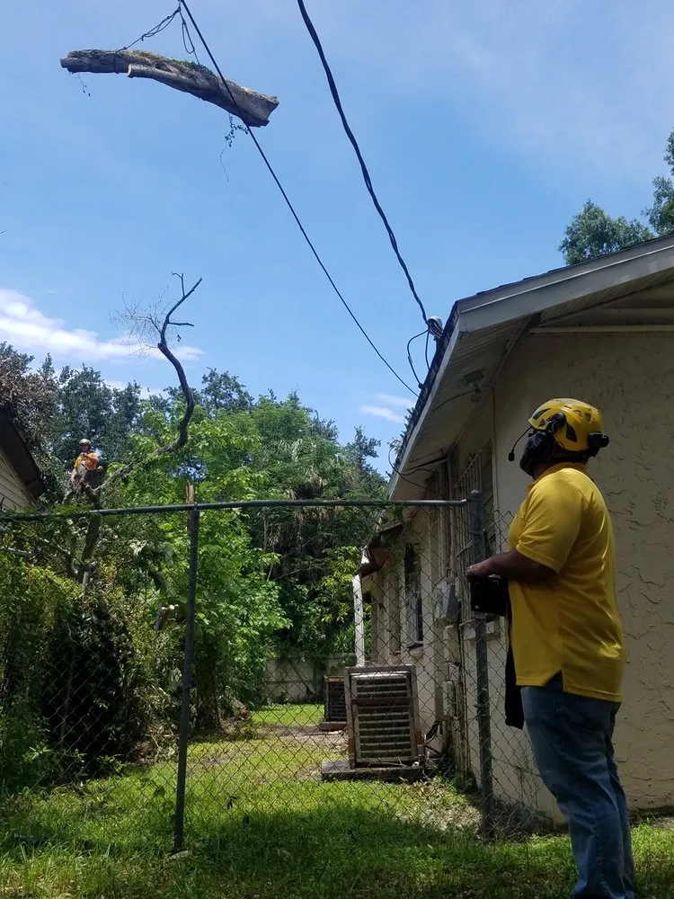 Local garden landscaping experts serving Largo, FL - Trimworks Tree Service