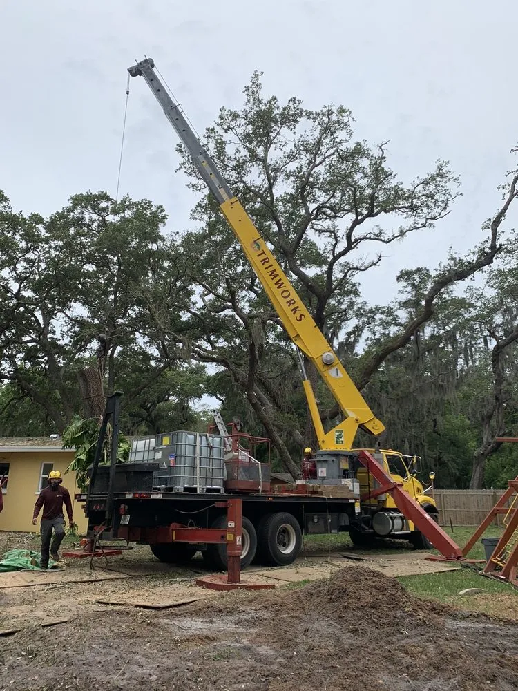 Affordable garden landscaping in Largo, FL - Trimworks Tree Service