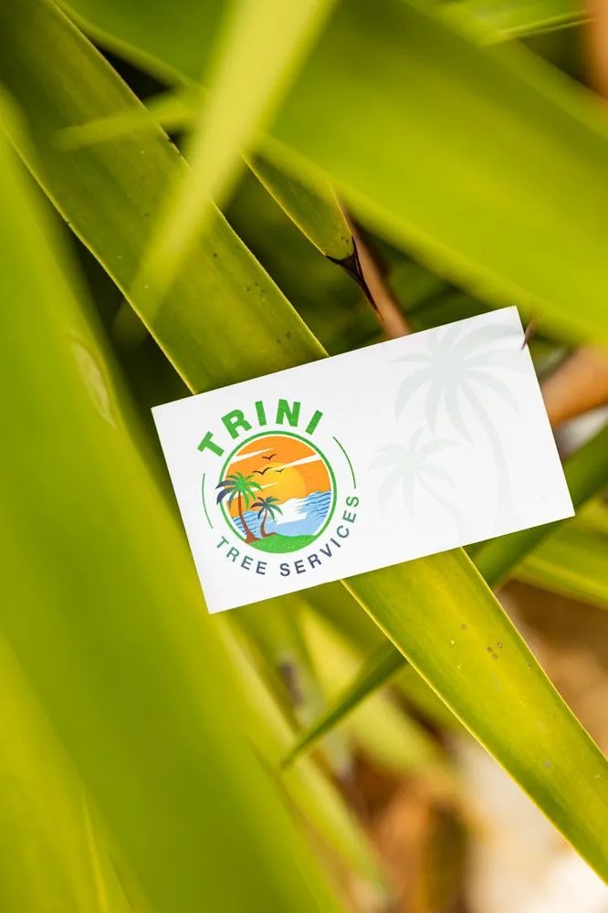 Trusted yard maintenance for residential properties in San Diego, CA by Trini Tree Services