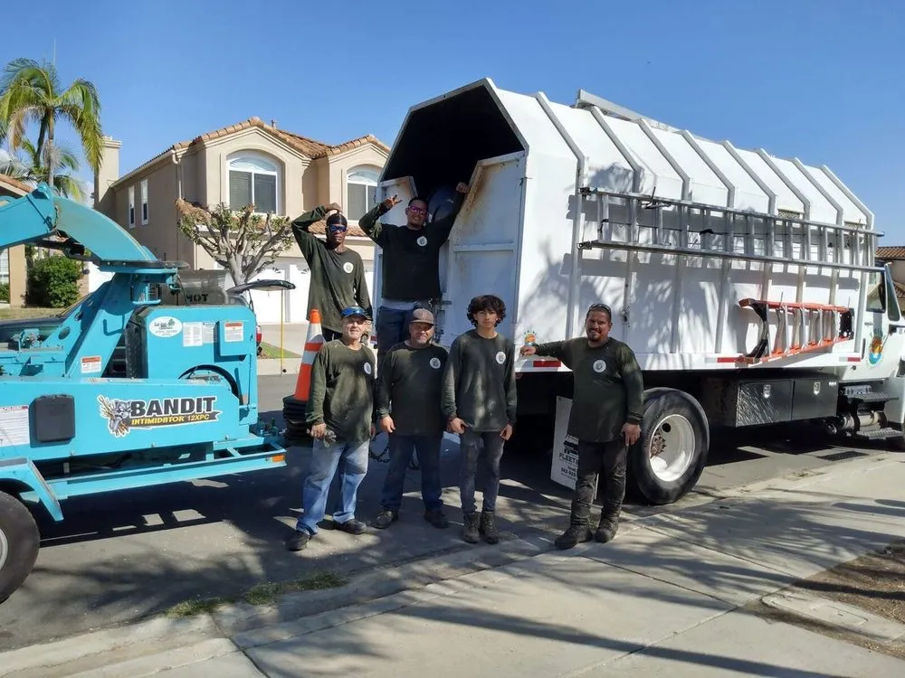 Professional outdoor landscaping for residential properties in San Diego, CA by Trini Tree Services