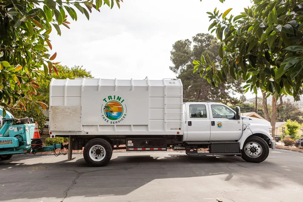 Local lawn care service near you across San Diego, CA - Trini Tree Services