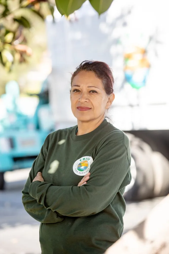 Expert landscaping services for residential properties across San Diego, CA - Trini Tree Services