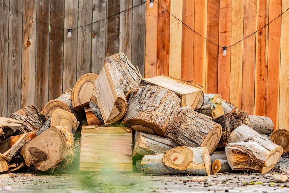 Trusted landscaping services for homes in San Diego, CA by Trini Tree Services